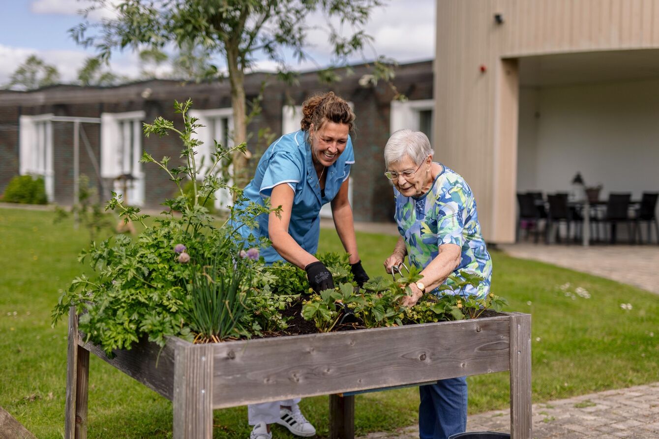 'We maken onze moestuin steeds mooier'